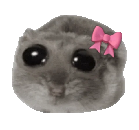 Cute hamster